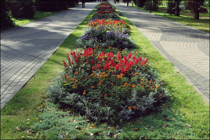 Аллея цветов в Зеленогорске